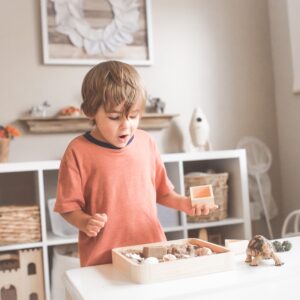Children’s Emotional Development